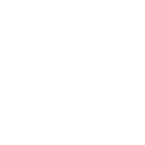 logo densot jumper